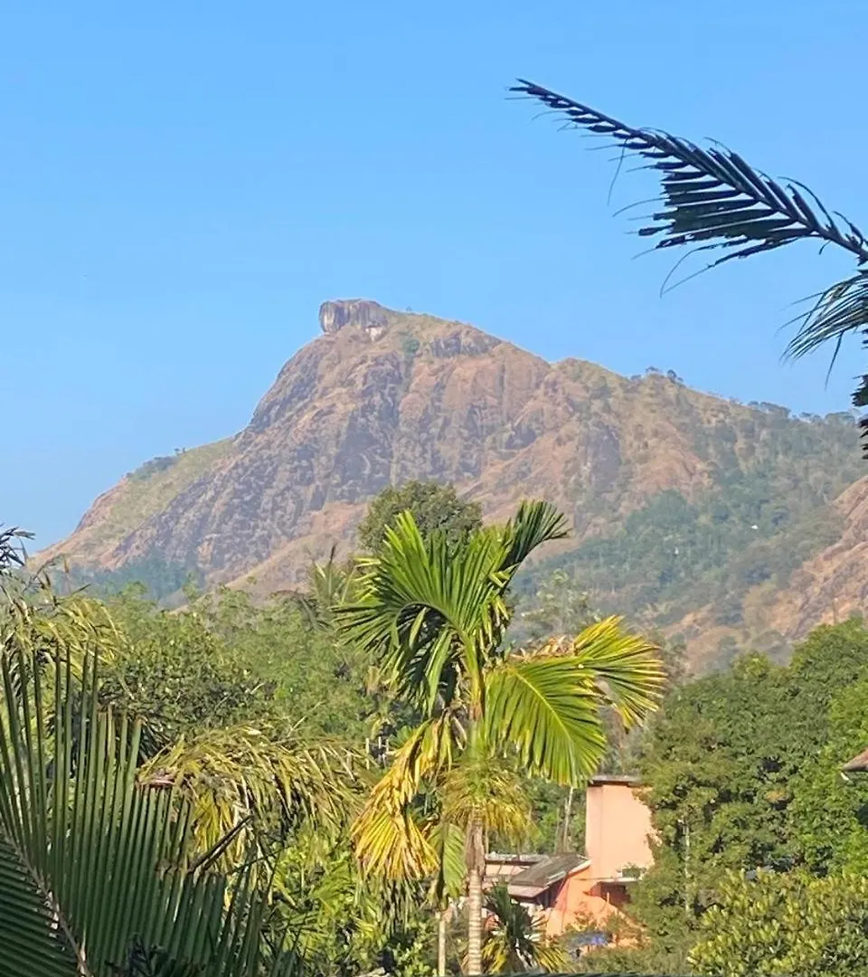 Kwatera prywatna The Lovely Home Stay Munnar Indie